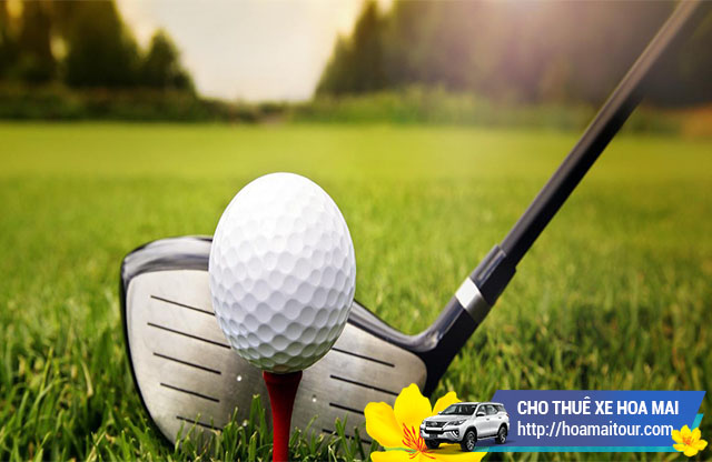 {hienthi_nhomsanpham}