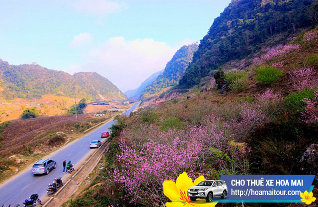 Cho thuê xe đi Sơn La Hà Nội