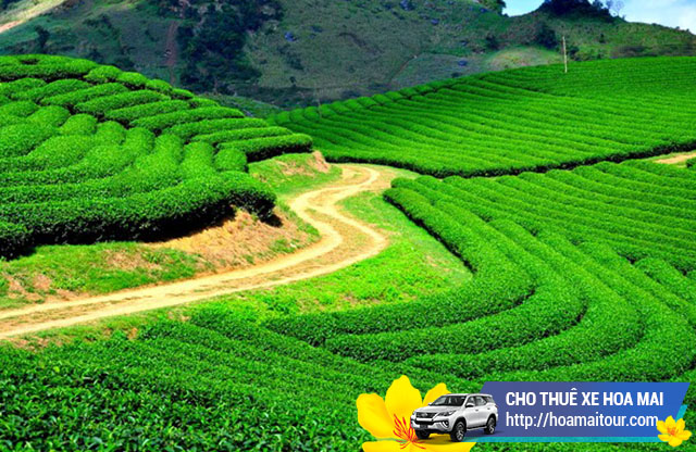 cho thuê xe đi Thái Nguyên