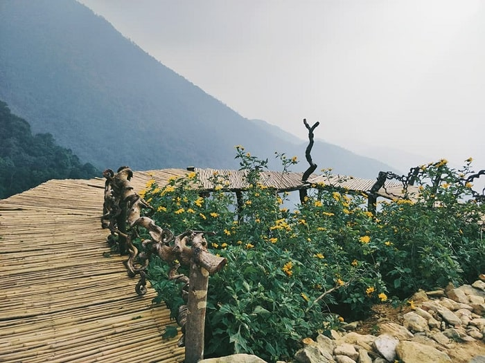 Cầu Mây nằm ngay giữa trung tâm của Tam Đảo