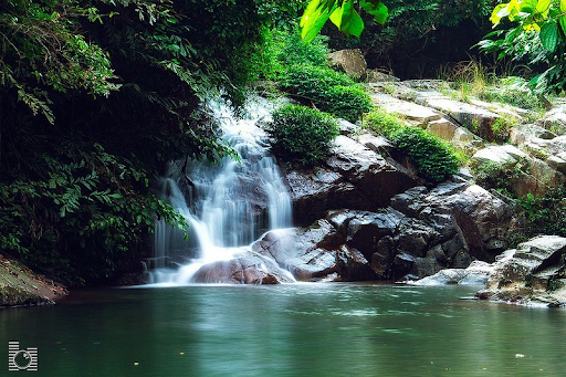 Khoang xoanh Suối Tiên