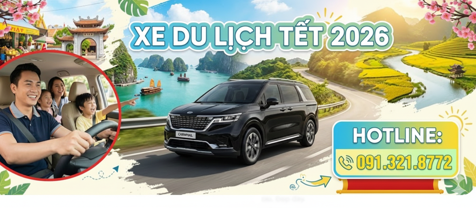 Hoa Mai tour phục vụ xe du lịch tết 2026