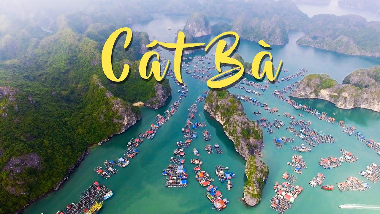Kinh nghiệm du lịch Cát Bà 2 ngày 1 đêm
