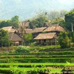 Cho thuê xe 4 chỗ đời mới