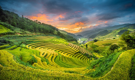 Du lịch Mù Cang Chải điểm đến hot nhất 2020