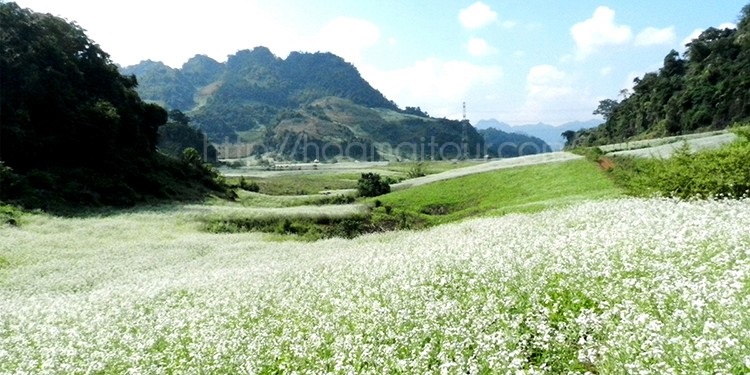Thuê xe du lịch tại những điểm vui chơi vào tháng 11