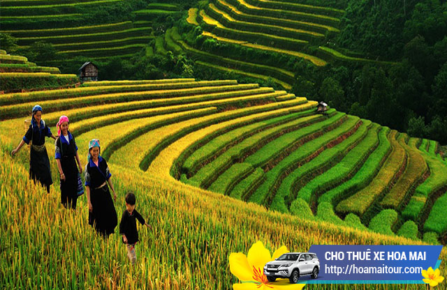 Cho thuê xe đi Lào Cai giá rẻ Cho thuê xe đi Lào Cai giá rẻ