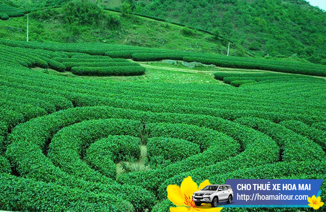 Cho thuê xe đi Mộc Châu Cho thuê xe đi Mộc Châu
