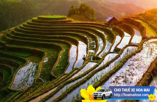 Dịch vụ cho thuê xe 7 chỗ đi Mù Cang Chải Dịch vụ cho thuê xe 7 chỗ đi Mù Cang Chải