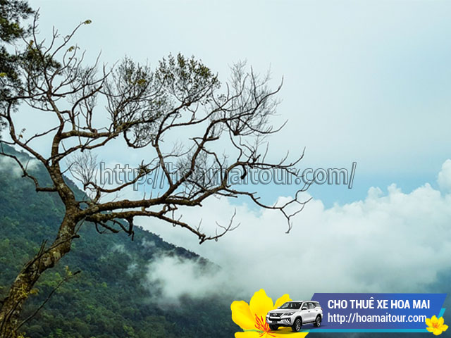 công ty cho thuê xe đi Tam Đảo công ty cho thuê xe đi Tam Đảo
