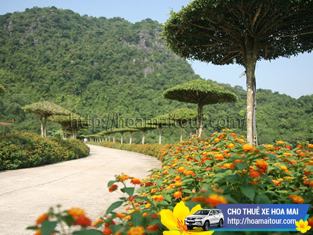 thuê xe đi Thung Nham du lịch thuê xe đi Thung Nham du lịch