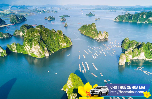chuyên cho thuê xe đi Hạ Long giá chất lượng