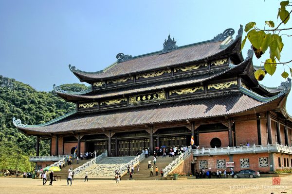 Hoa Mai cho thuê xe đi chùa Bái Đính