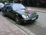 Cho thuê xe cưới  Mercedes E240