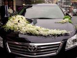 Cho thuê xe cưới  Toyota Camry 2.4