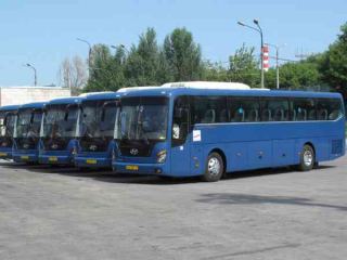Cho thuê xe cưới 45 chỗ | cho thuê xe cưới 45 chỗ Huyndai Universe giá rẻ nhất 